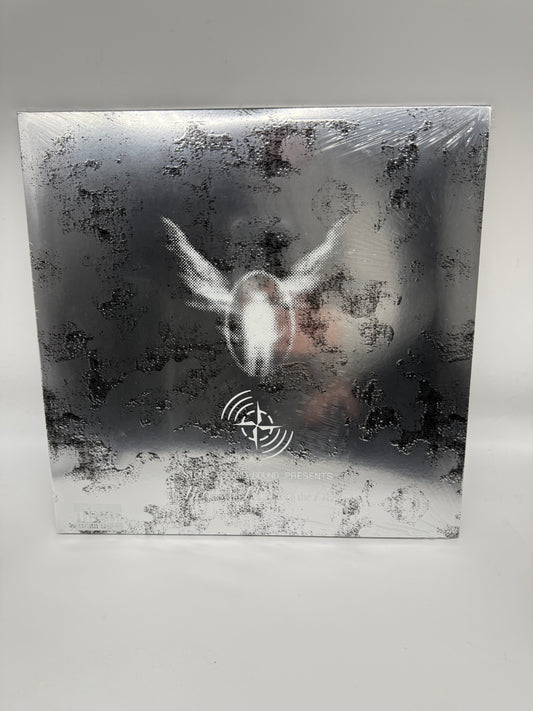 Dave X Stone Island - The boy who played harp D2C Bundle