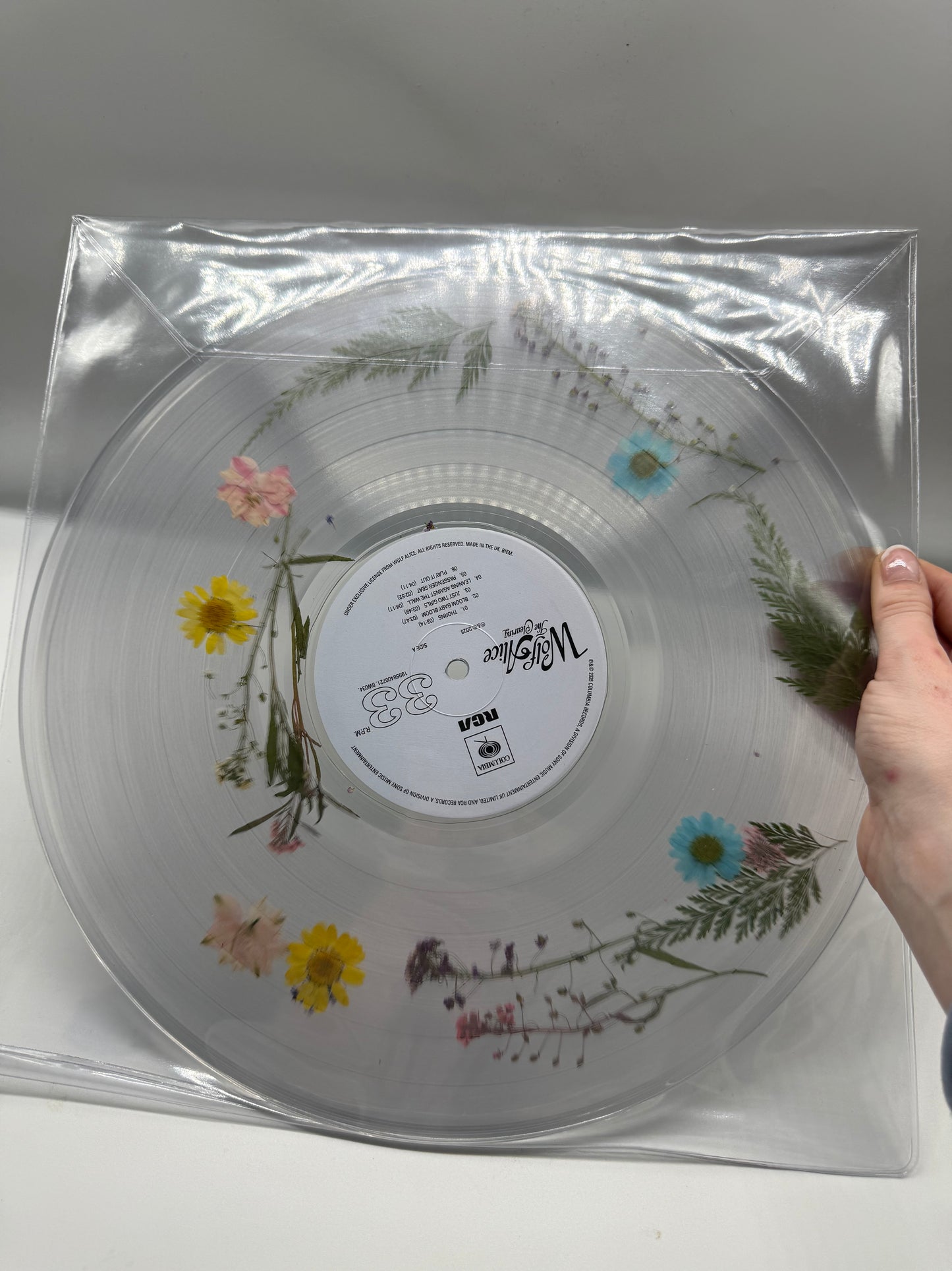 Wolf Alice - The clearing alt cover (bad worlds flower pressing)